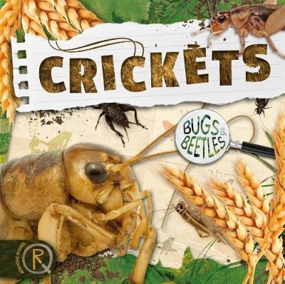 Crickets - William Anthony