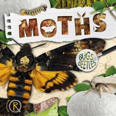 Moths - William Anthony
