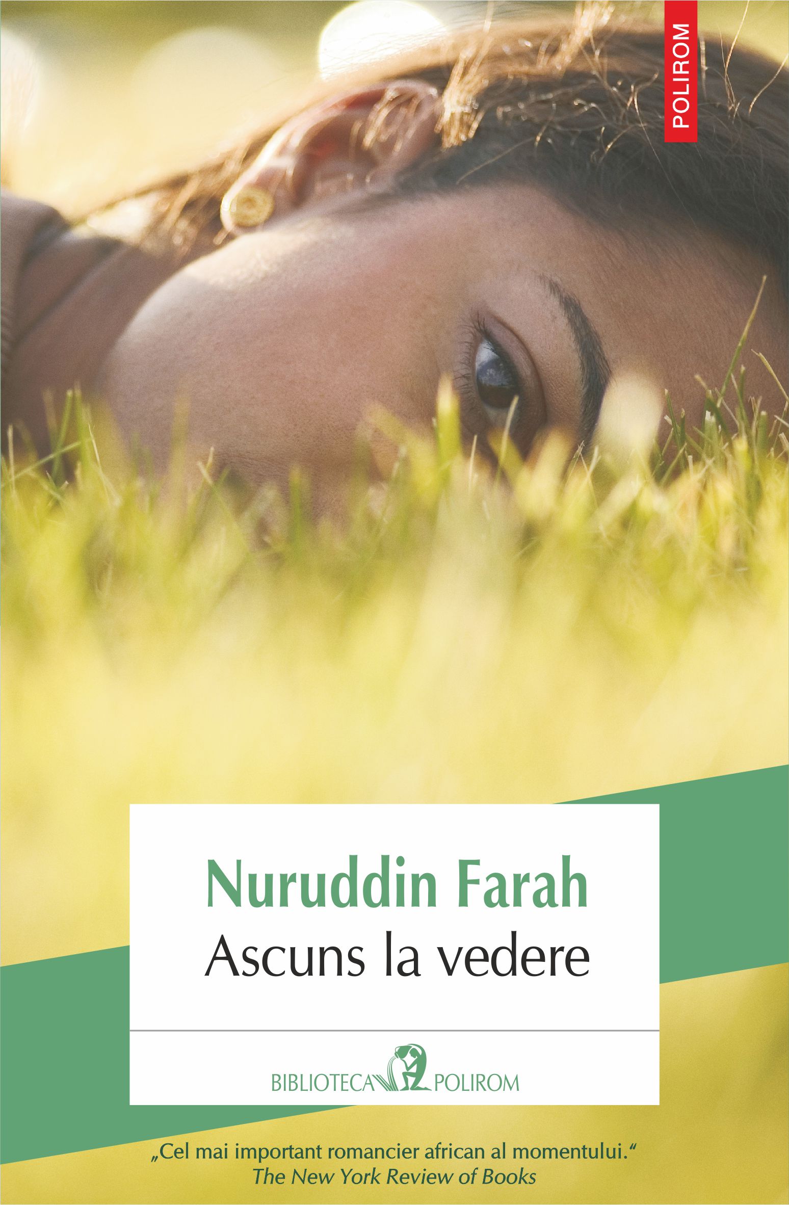 eBook Ascuns la vedere - Nuruddin Farah