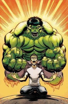 Hulk By Loeb & Mcguinness Omnibus - Jeph Loeb