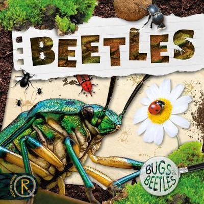Beetles - William Anthony