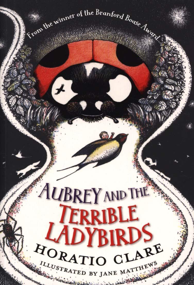 Aubrey and the Terrible Ladybirds - Horatio Clare