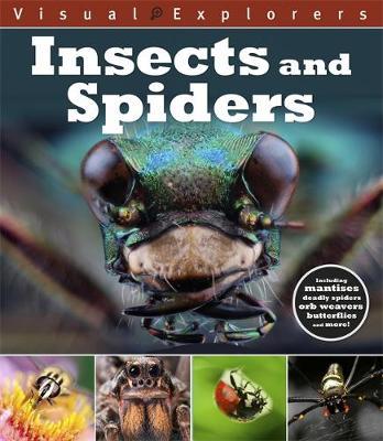 Visual Explorers: Insects and Spiders - Paul Calver