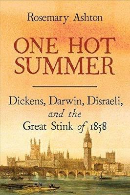 One Hot Summer - Rosemary Ashton