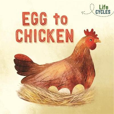 Life Cycles: Egg to Chicken - Rachel Tonkin
