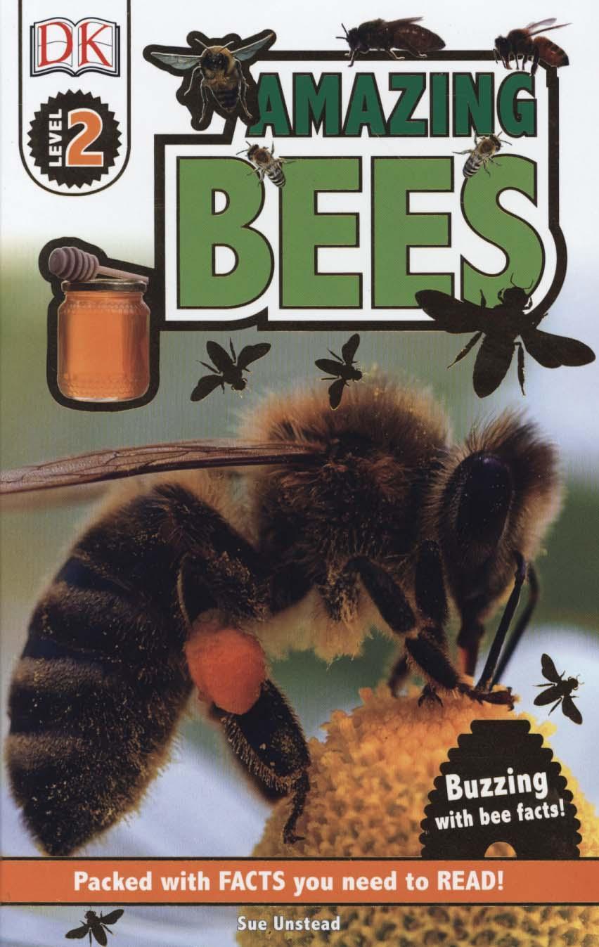 Amazing Bees - Sue Unstead
