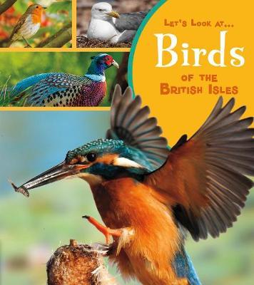 Birds of the British Isles - Lucy Beevor