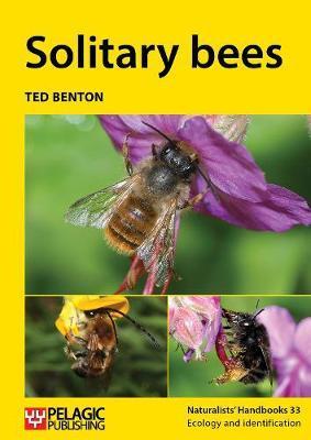 Solitary bees - Ted Benton