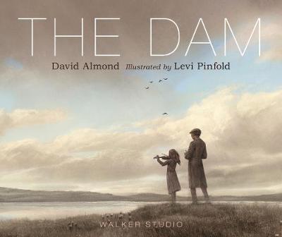 Dam - David Almond