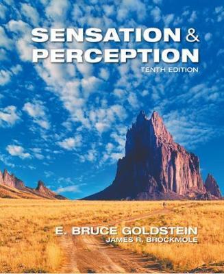 Sensation and Perception - James Brockmole