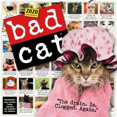 Bad Cat Wall Calendar 2020 -  
