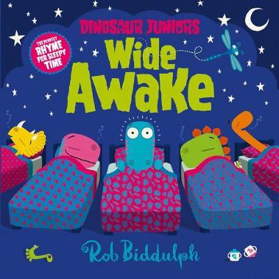 Wide Awake - Rob Biddulph