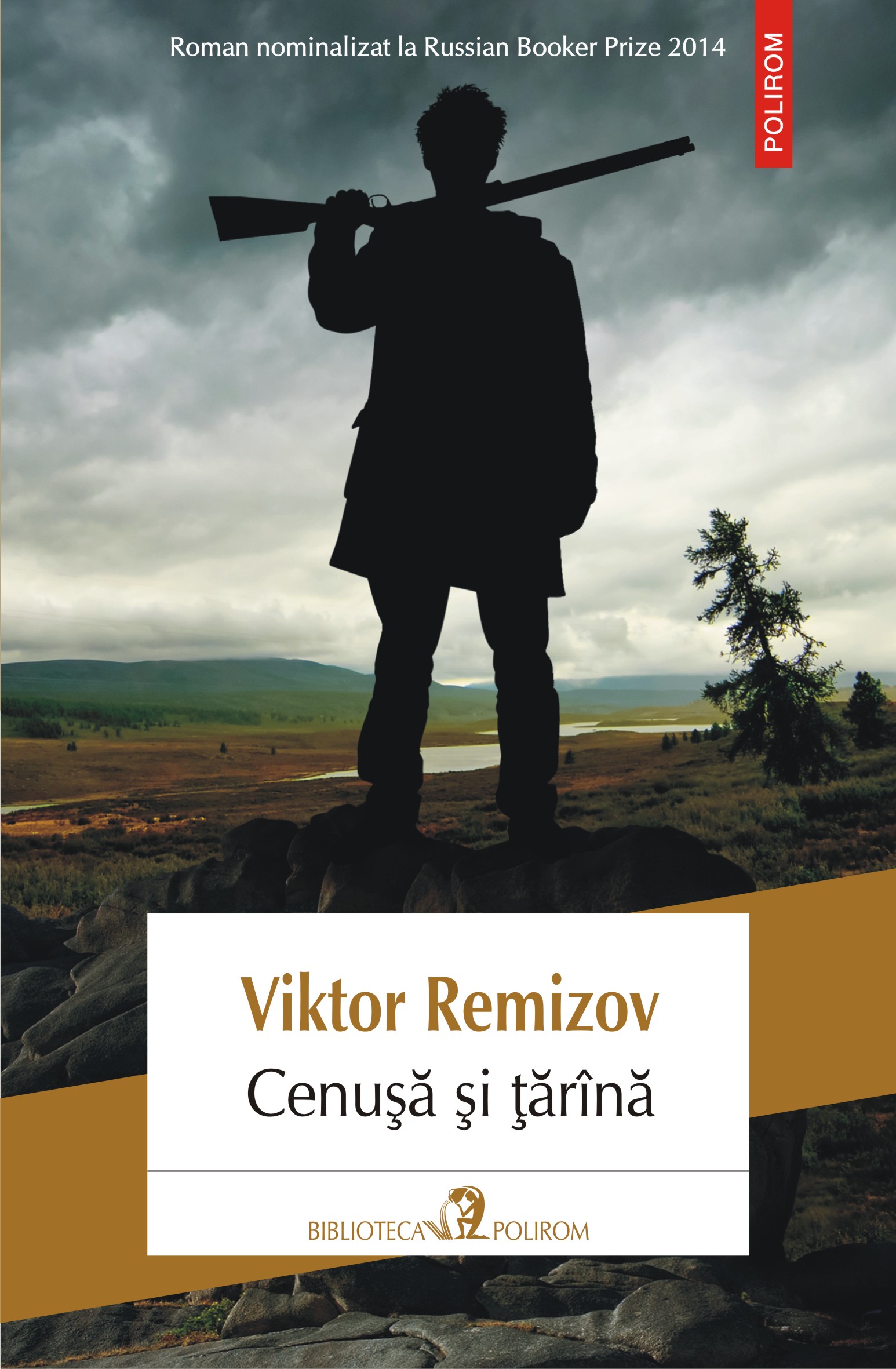eBook Cenusa si tarina - Viktor Remizov