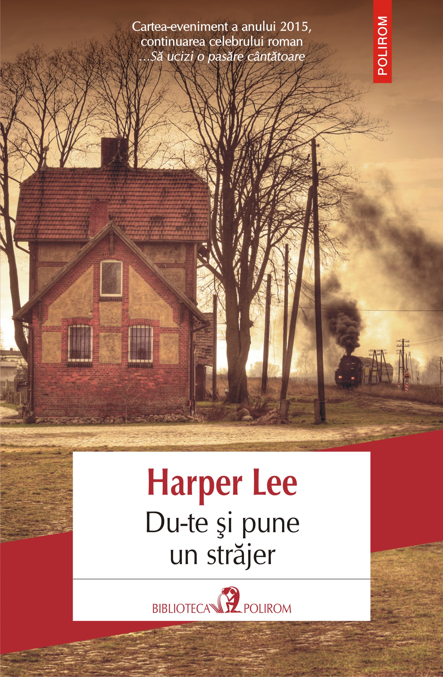eBook Du-te si pune un strajer - Harper Lee