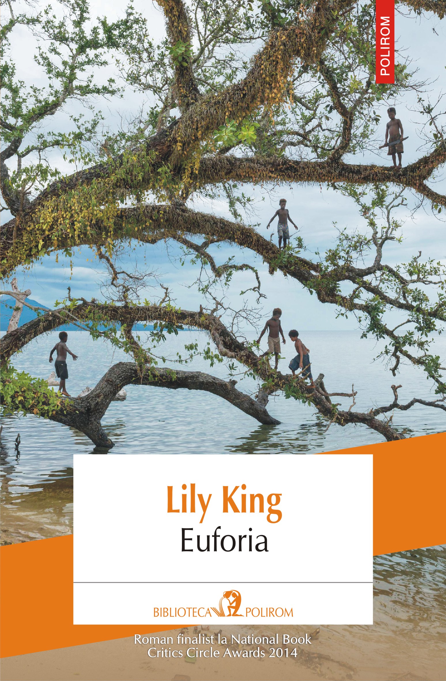 eBook Euforia - Lily King