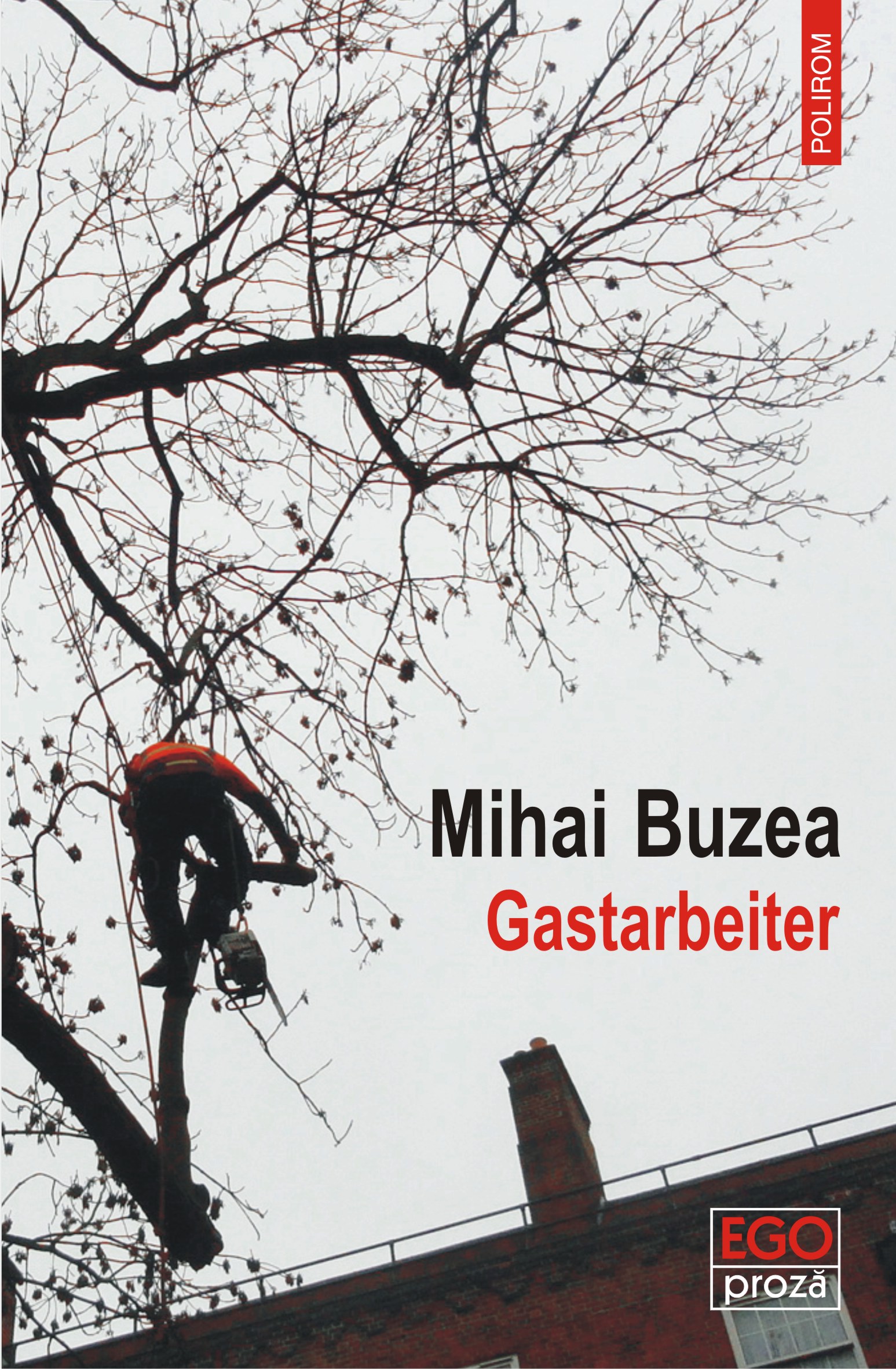 eBook Gastarbeiter - Mihai Buzea