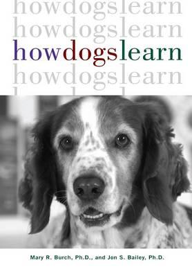 How Dogs Learn -  