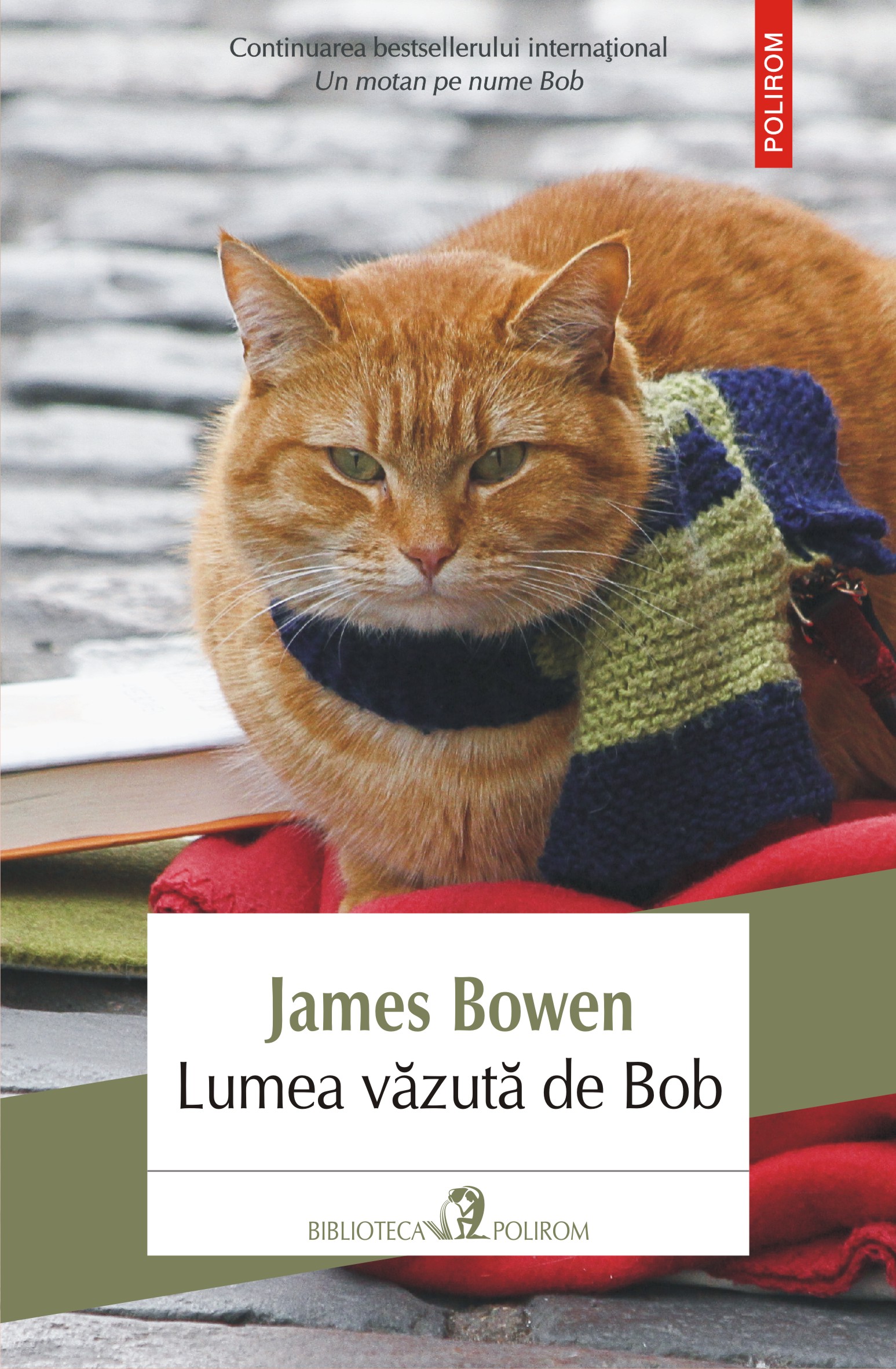 eBook Lumea vazuta de Bob - James Bowen