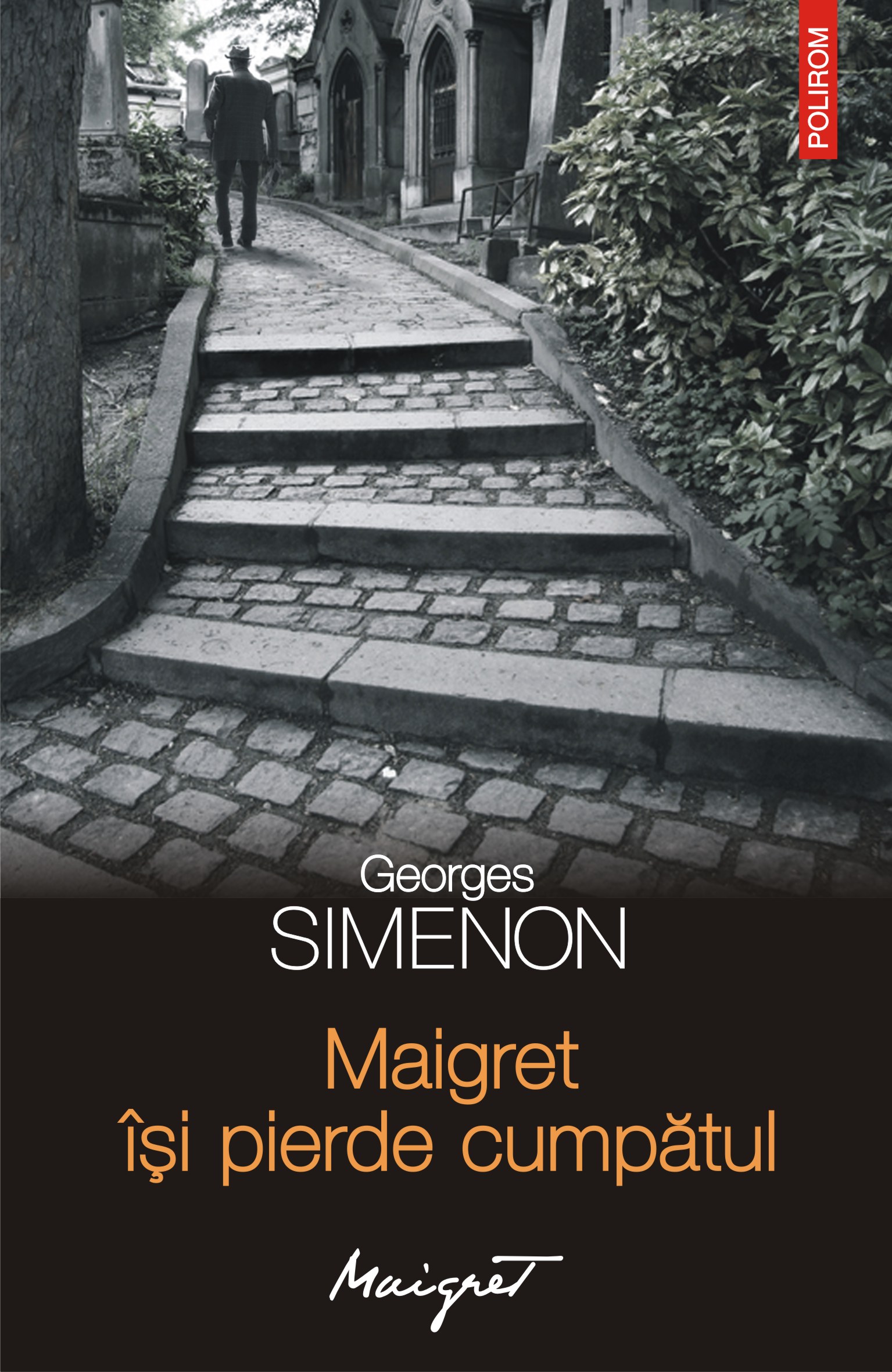 eBook Maigret isi pierde cumpatul - Georges Simenon
