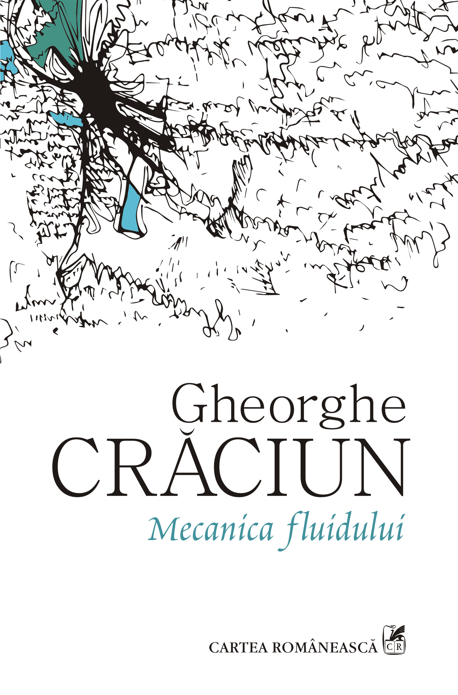 eBook Mecanica fluidului - Gheorghe Craciun