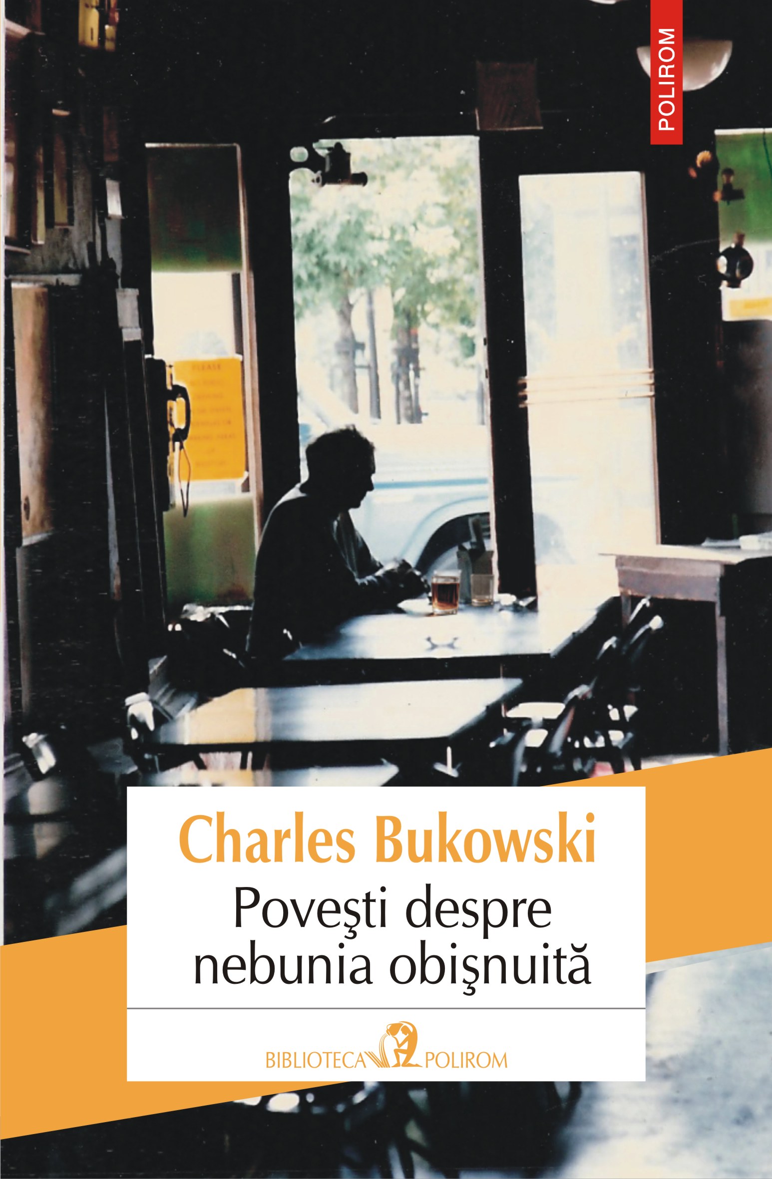 eBook Povesti despre nebunia obisnuita - Charles Bukowski