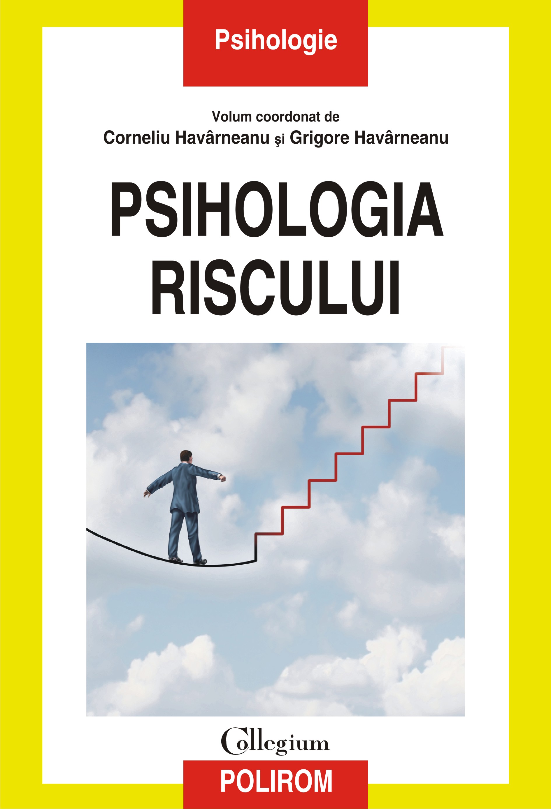 eBook Psihologia riscului - Corneliu Havarneanu (coord.)