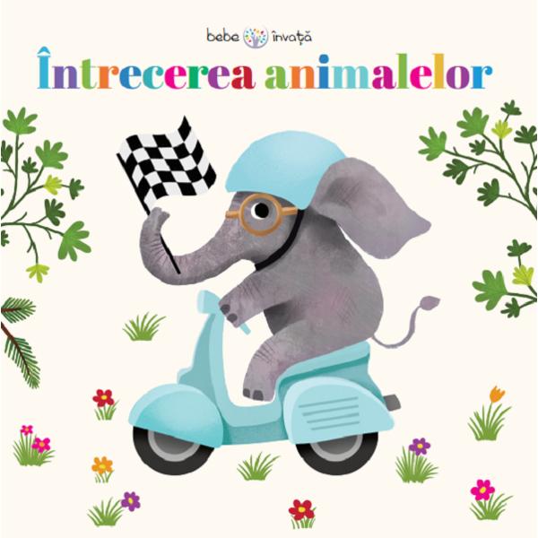 Intrecerea animalelor. Puzzle