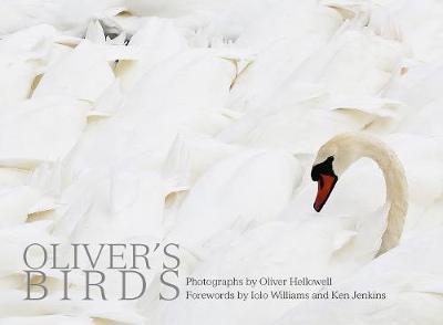 Oliver's Birds - Oliver Hellowell