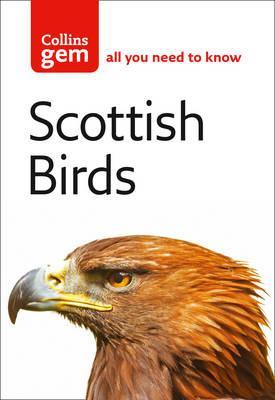 Scottish Birds - Valerie Thom