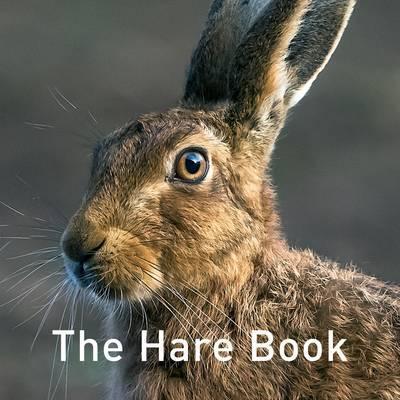 Hare Book - Jane Russ