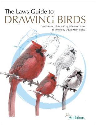 Laws Guide to Drawing Birds - John Muir Laws