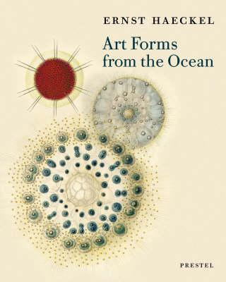 Art Forms from the Ocean - Olaf Breidbach