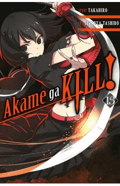 Akame ga Kill!, Vol. 13 - Takahiro