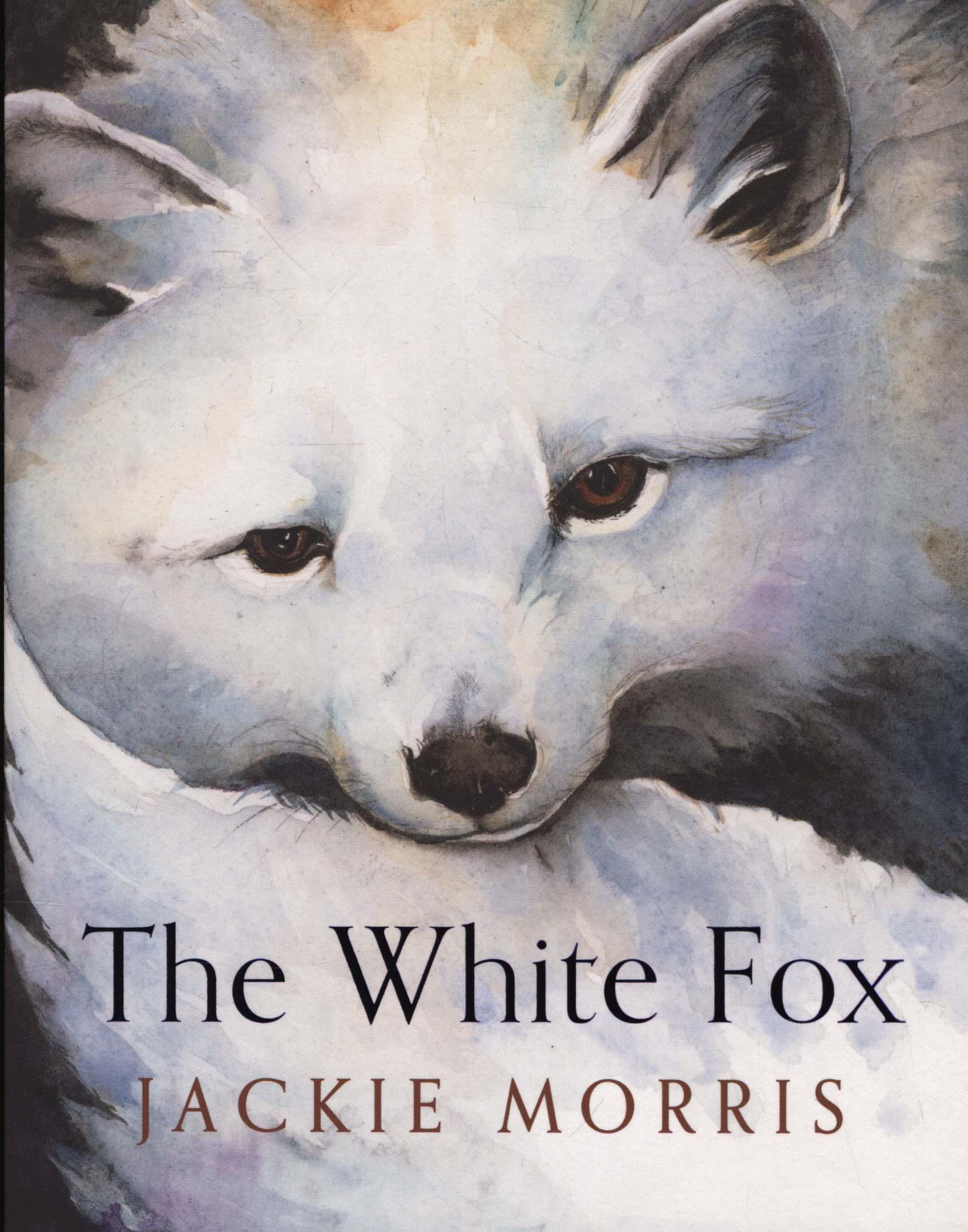 White Fox - Jackie Morris