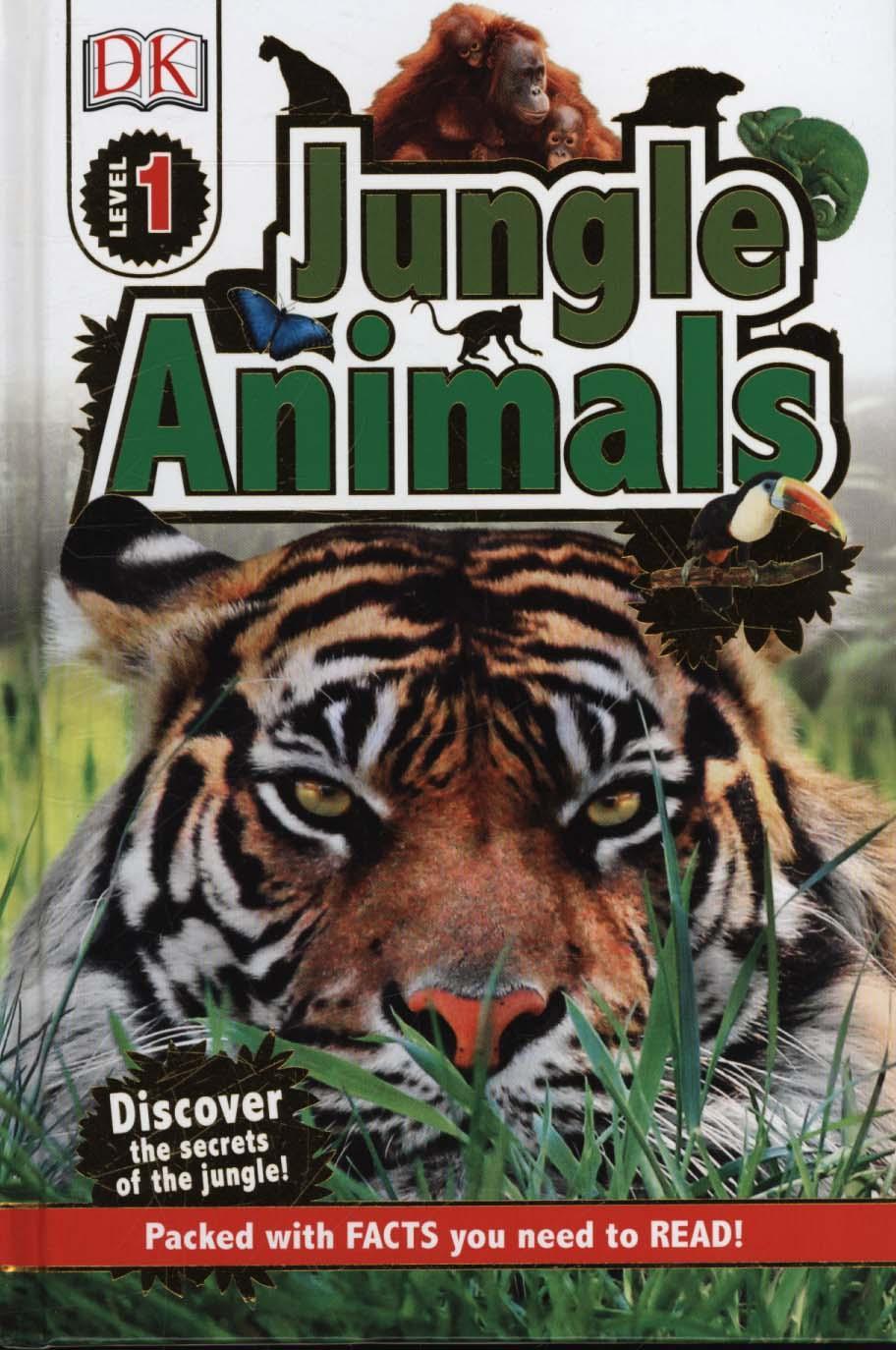 Jungle Animals -  DK