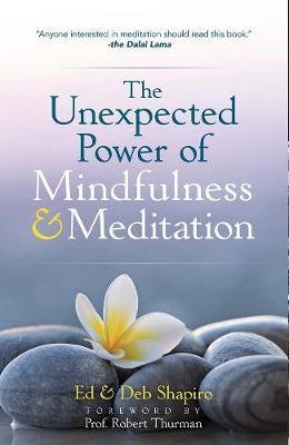Unexpected Power of Mindfulness and Meditation - Ed Shapiro