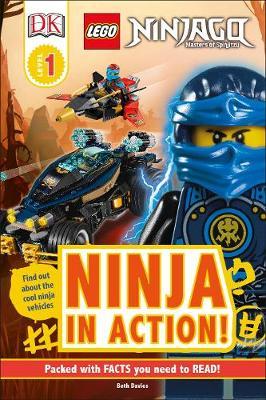 LEGO NINJAGO Ninja in Action! -  