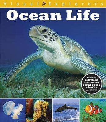 Visual Explorers: Ocean Life - Paul Calver