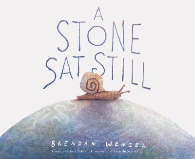 Stone Sat Still - Brendan Wenzel