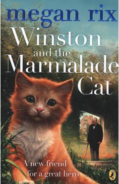 Winston and the Marmalade Cat - Megan Rix