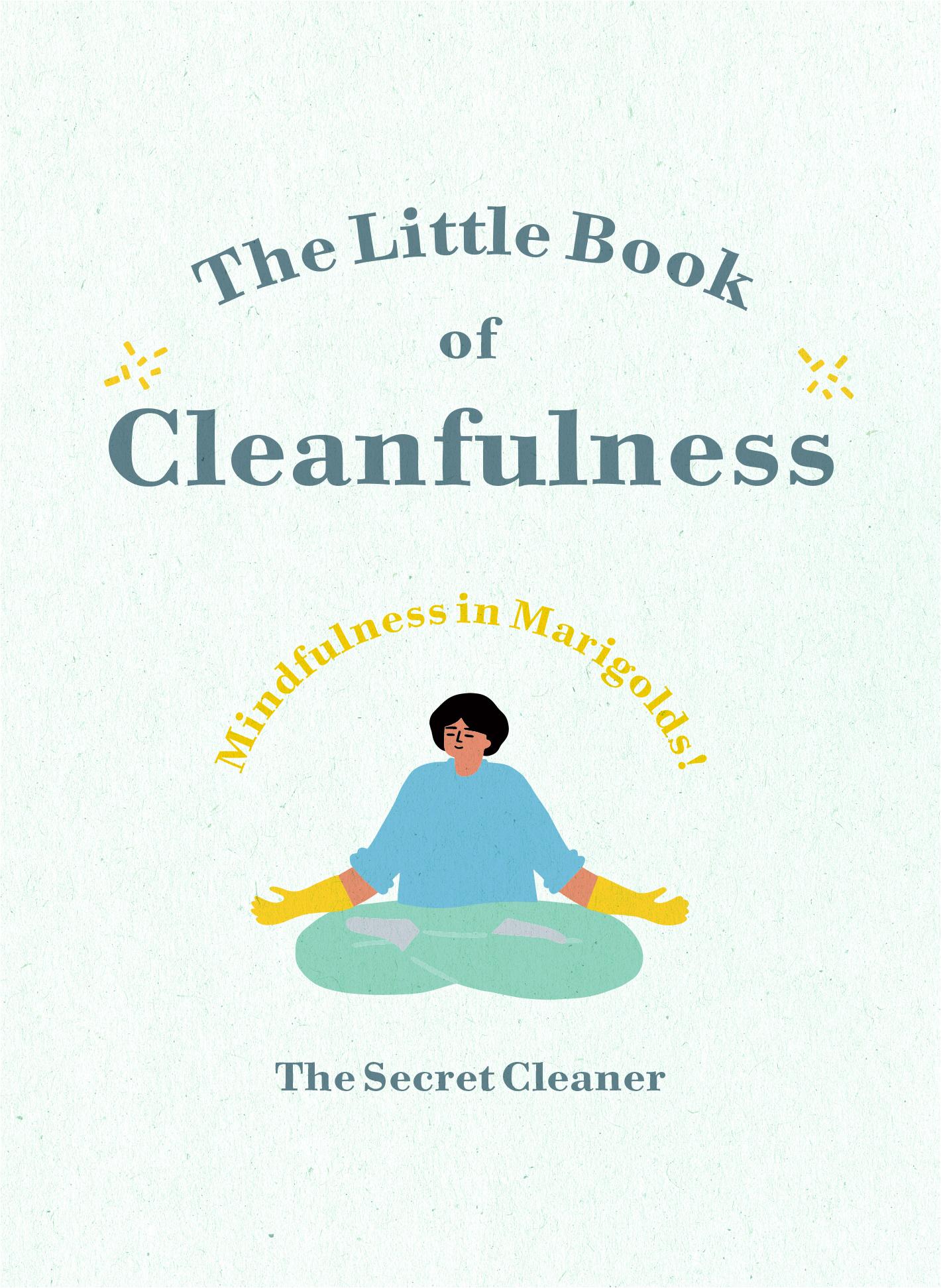 Little Book of Cleanfulness - Secret Cleaner