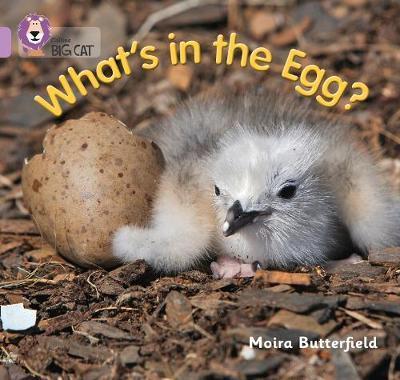 What's in the Egg? - Moira Butterfield
