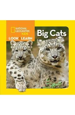 Poza produsului Look and Learn: Big Cats - National Geographic Kids 