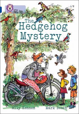 Hedgehog Mystery - Ally Kennen