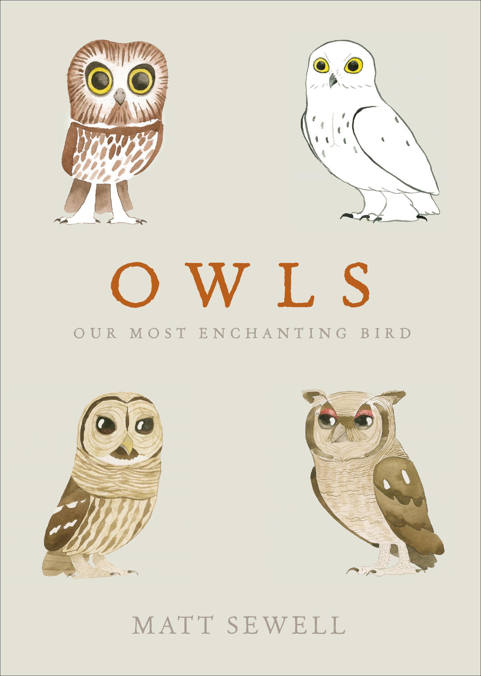 Owls - Matt Sewell