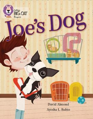 Joe's Dog - David Almond