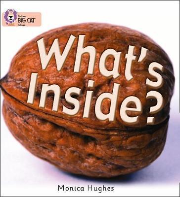 What's Inside? - Monica Hughes