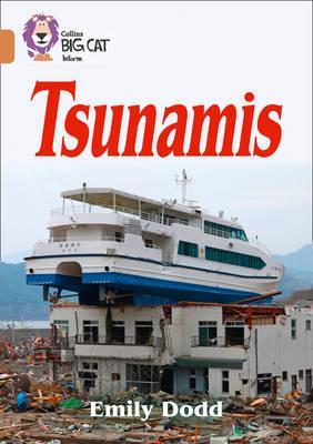 Tsunamis - Emily Dodd