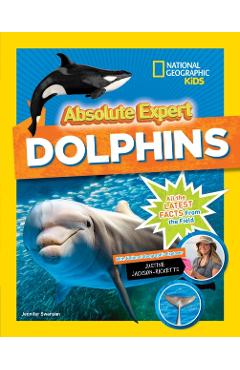 Absolute Expert: Dolphins -