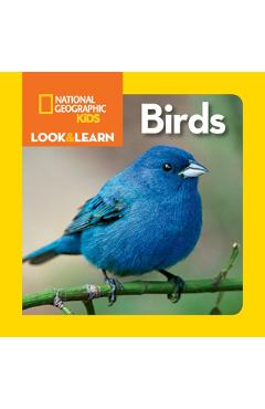Look and Learn: Birds -